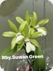 Rby. Suwan Green